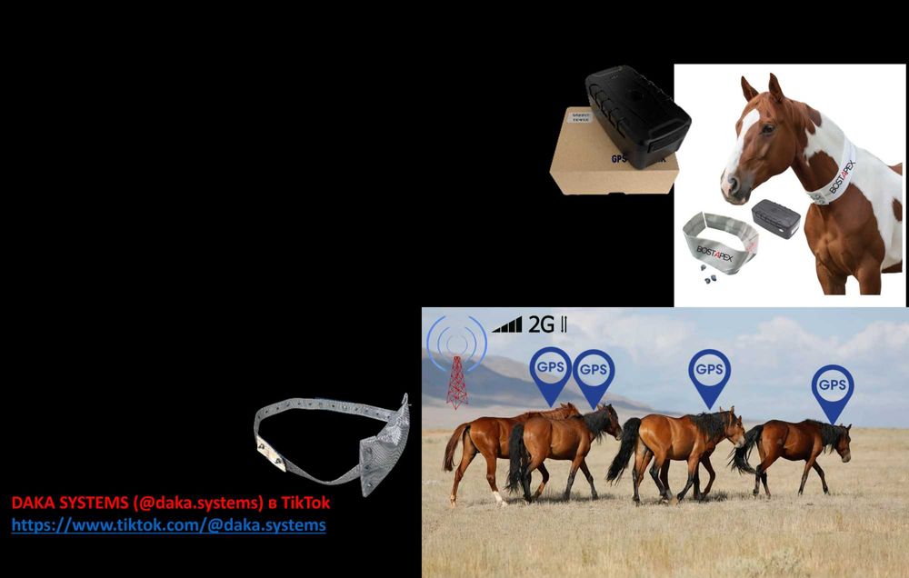 GPS трекеры TK918