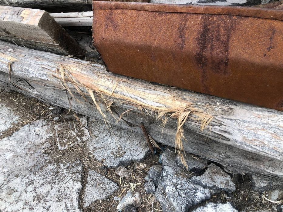 Terrak tosin  Õtkan yilgi