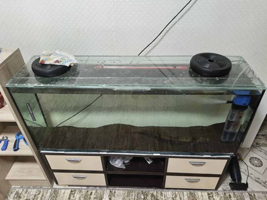 Срочно Змееголов