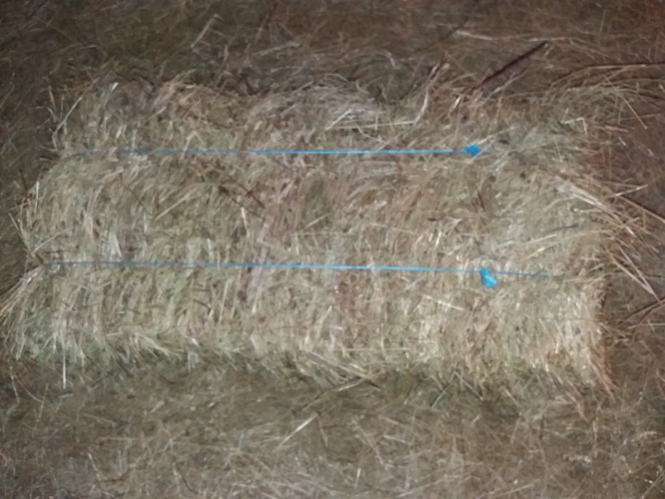 Vand Baloti de Fan asigur transport