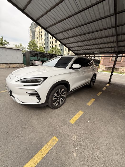 Byd chenpion honr 605