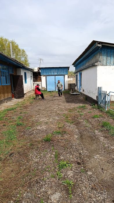 Дом в Нарынколе.