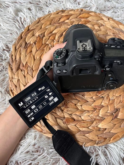 Canon EOS 80D + obiective 75–300mm & 85mm + Godox Blitz — stare bună