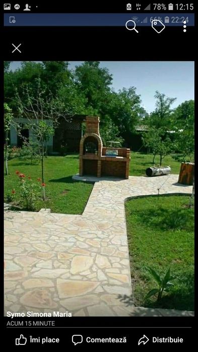 Tuia ,brazi ,mesteacăn .(plante ornamentale)