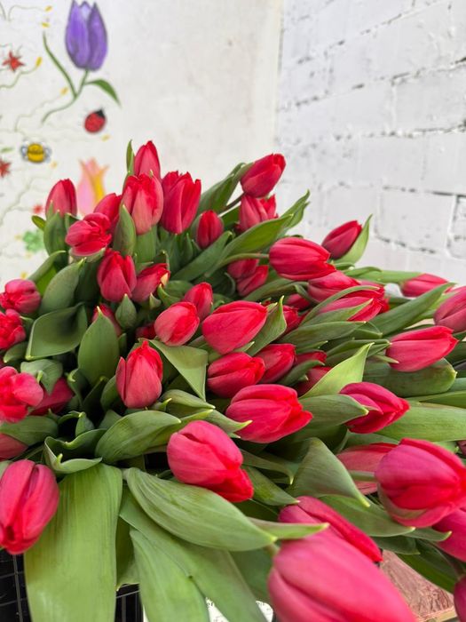 Тюльпаны к 8 марта