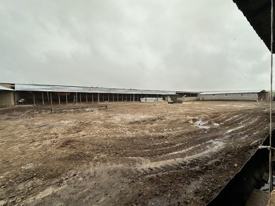 Дайын Қора 800-га жер телімі сатылады