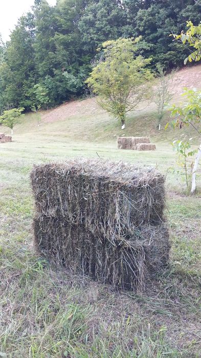 Baloți de fân vânzare
