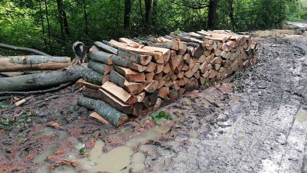 Lemne fag  350 lei mster