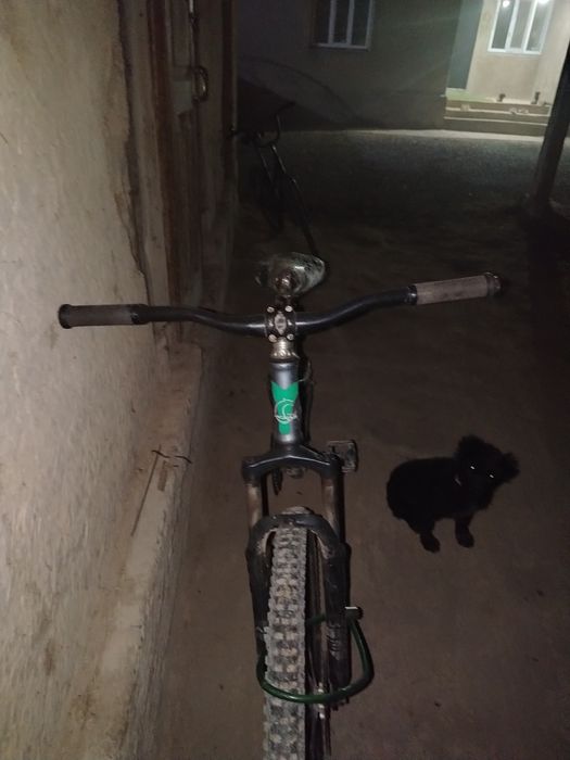 Спартниви вели сатлады