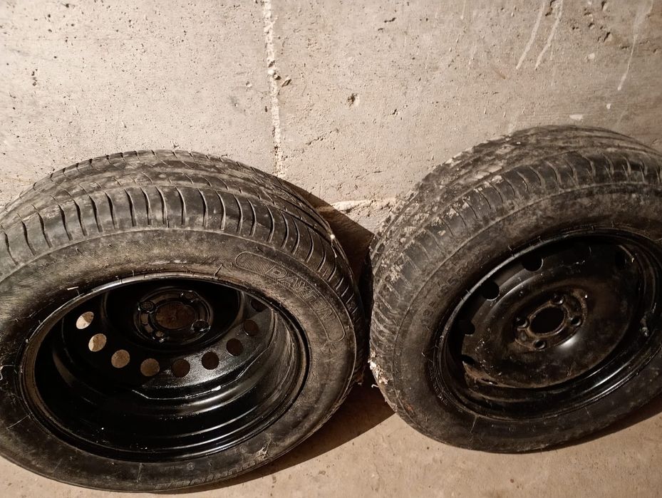 Roti Logan nefolosite