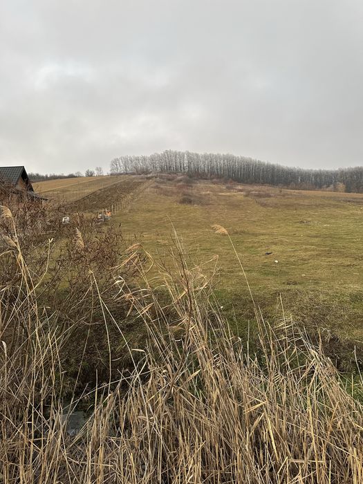 Vand teren in Mirsid intravilan / extravilan