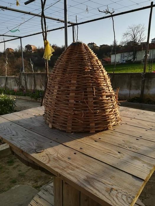 Нови пчелни тръвни