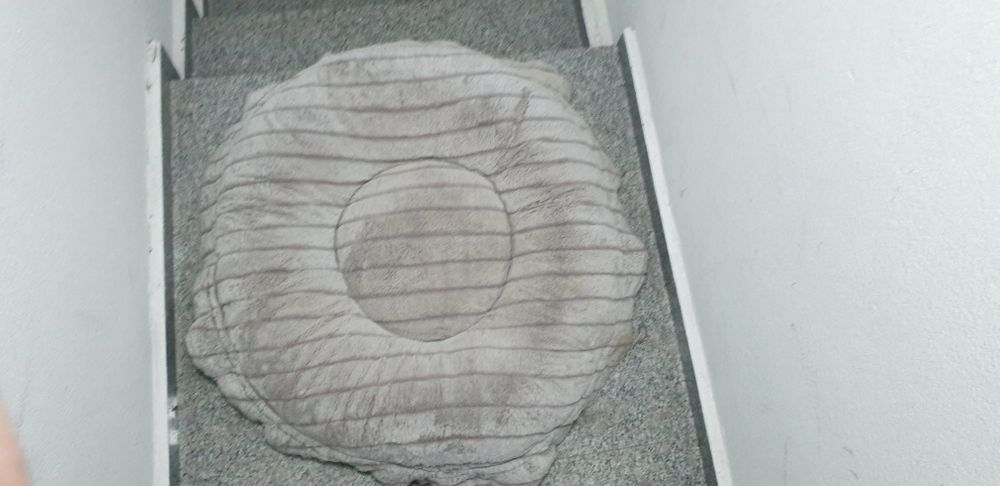 Culcus/perna caini/pisici Litle MARY