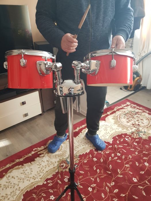 Toba bongosuri tomuri