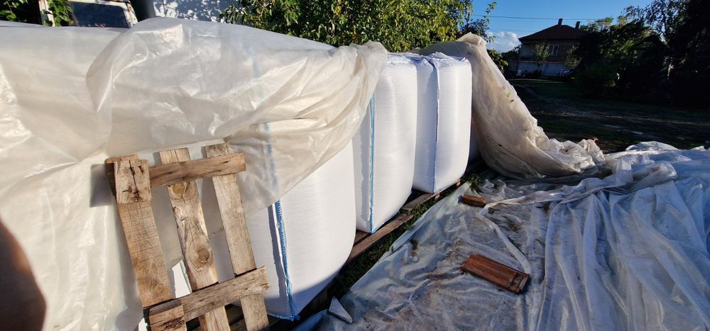 Пшеница реколта 2025 година