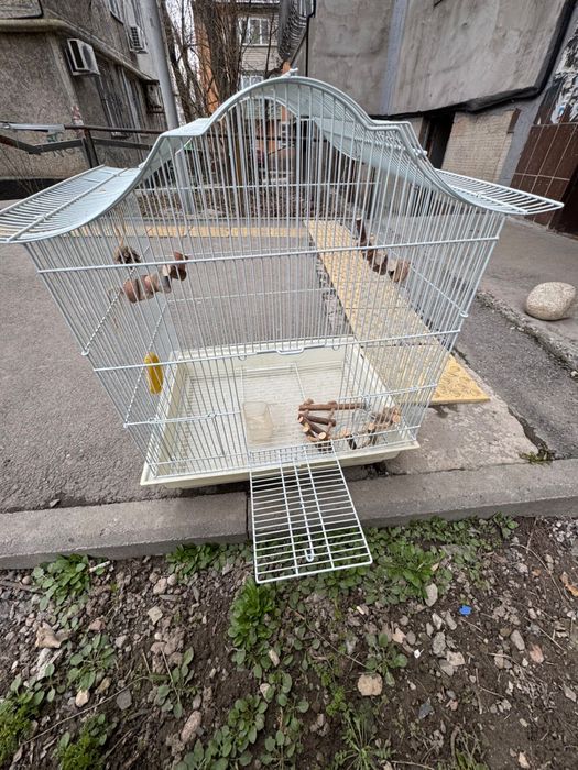 Клетка для попугая