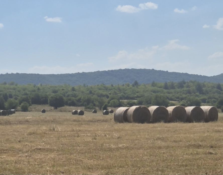 Рулонни бали сено