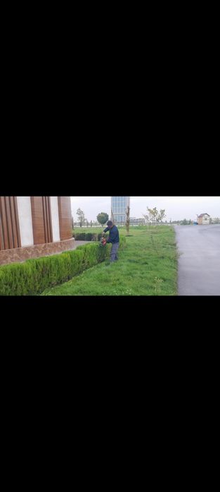 Gazon rulon landshaft