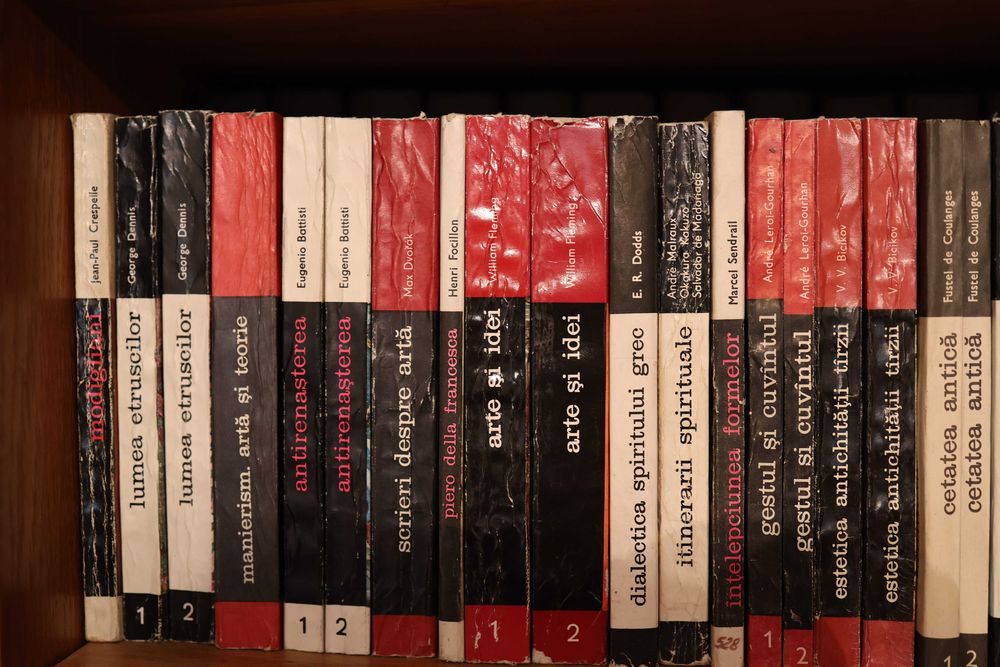 Colecție Completă Cărți de Artă și Civilizație — Seria Meridiane, 60+ Volume, Oprescu, Braudel, Faure, Chamoux