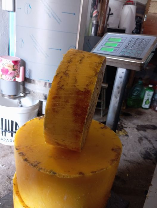 Ceară capaceală albine