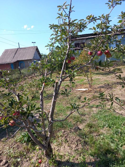 Продам дачный домик с участком в пригороде Алматы