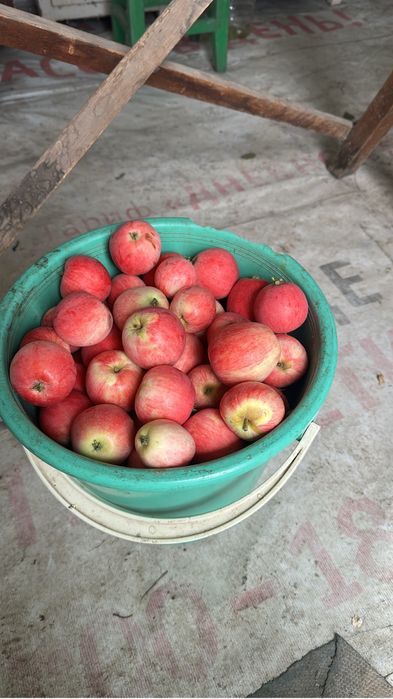 Продам дачу сад Здоровие