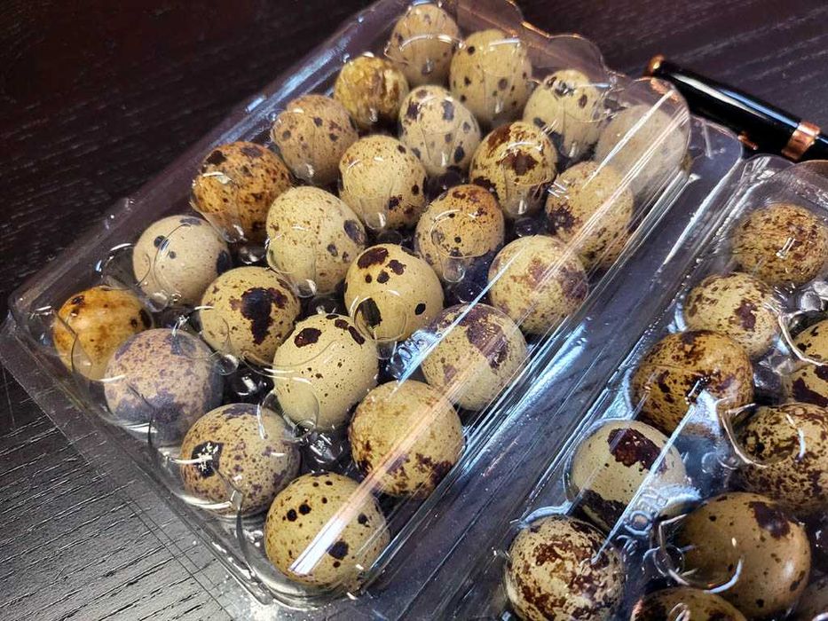 Cofraje caserole 12, 21, 24 si 30 oua prepelite pe stoc