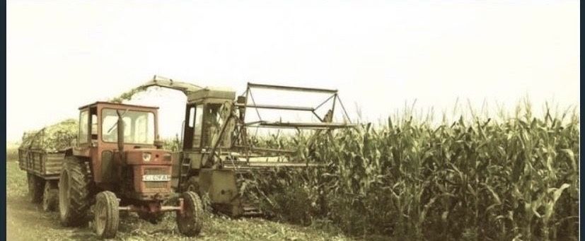 Tocatoare Siloz Fortschritt E281-C