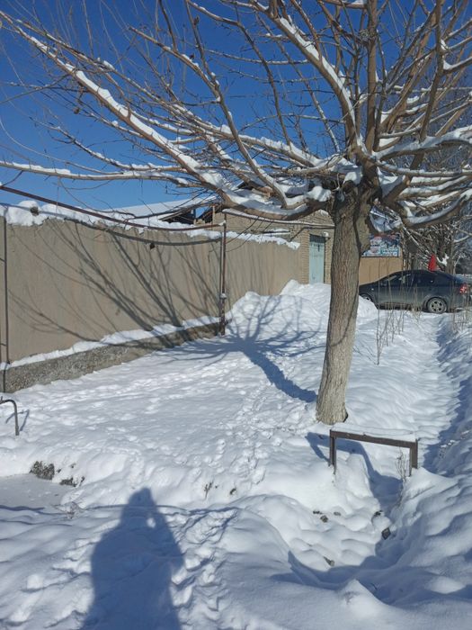 Ховли сотилади 7 сутик