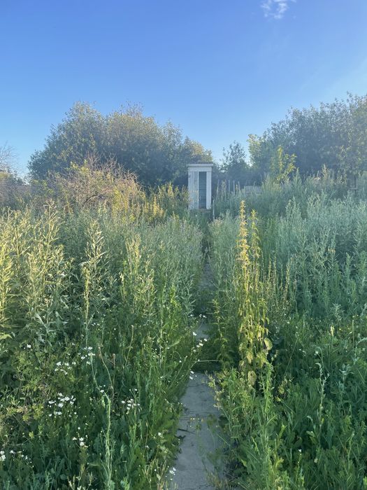 Продаётся дача за Понтонным мостом.