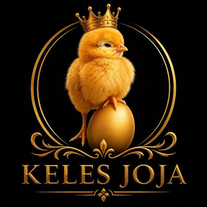 joja va jojalar sotiladi sendi nesushka  no3
