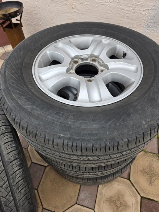 Шигы с диками летние