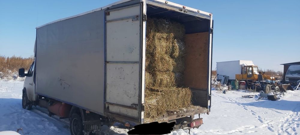 продам сено в тюках