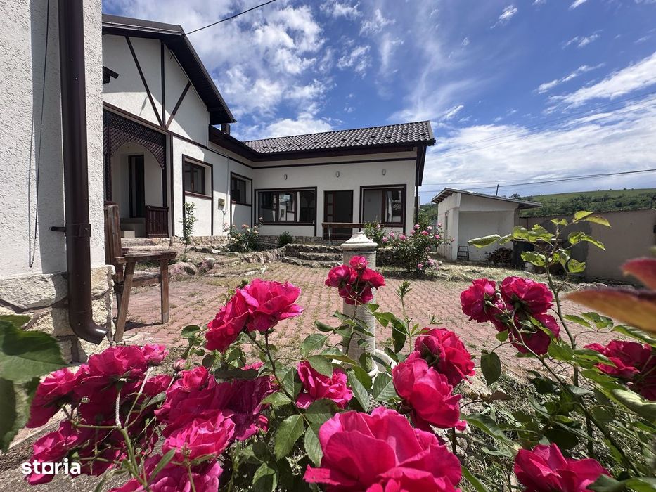 Între dealuri, viță de vie și liniște deplină! Vanzare casa in Prahova