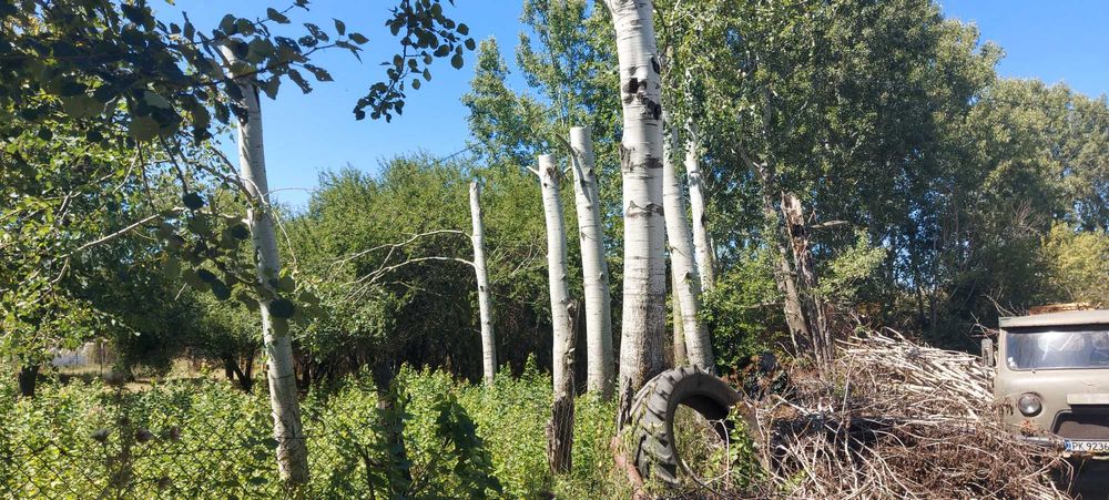 Продава се Парцел в Перник, Църква - 1440 кв.м за 46 €/кв.м - Снимка #12