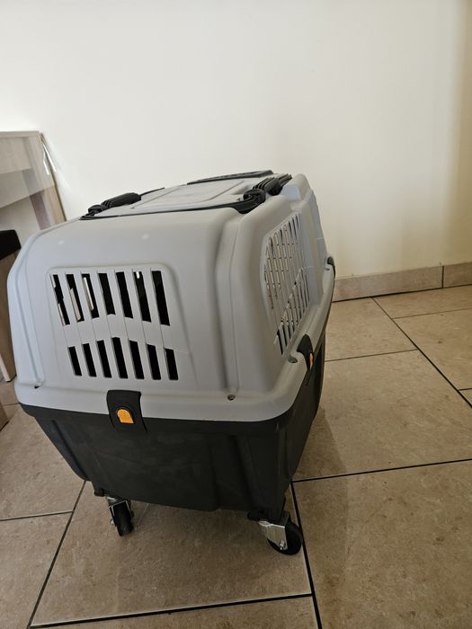 Cuaca transport animale