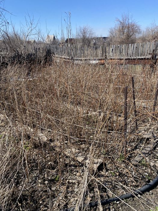 Продам дача в черомошке