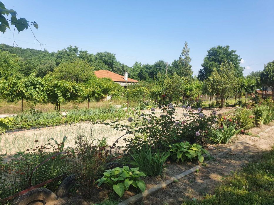 Къща с кьошк с.Ветрен