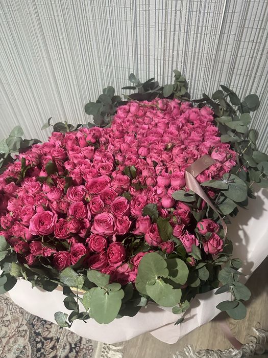 спрей розы, цветы