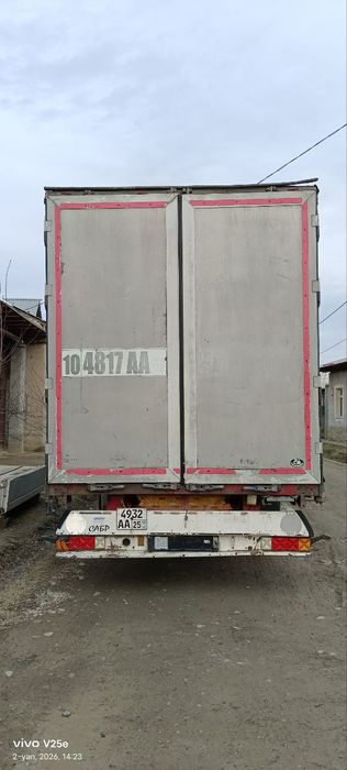 Kogel xolati alo