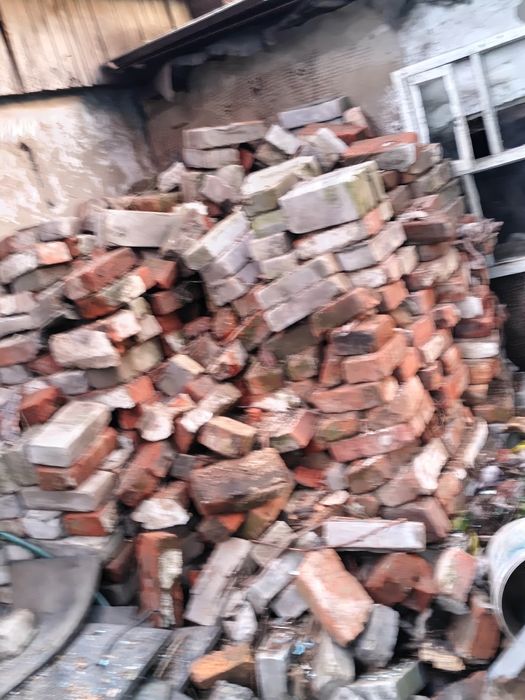 Отдам курпич  только воскресенье