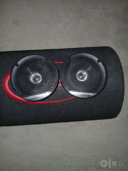 Pioneer kalonka 10 sm lik