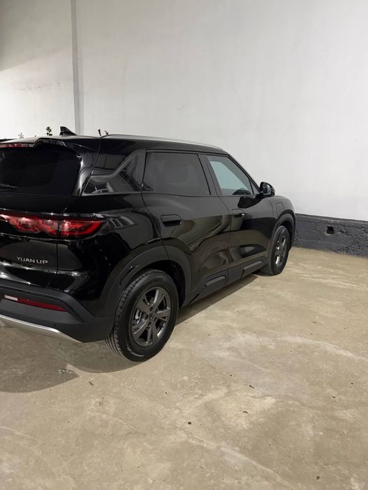 Byd yuan up 2026