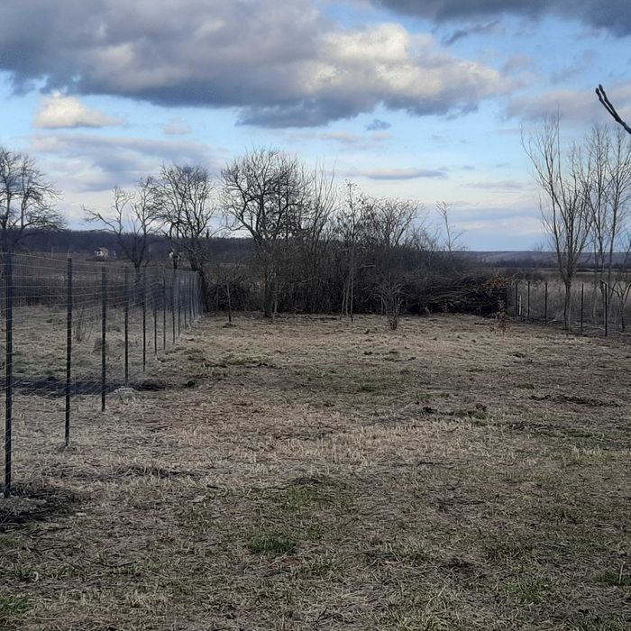 Teren intravilan in jud.Timis.