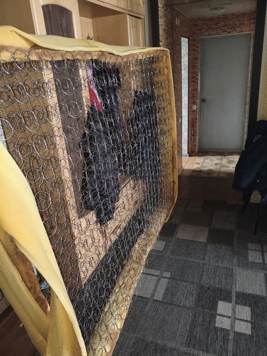 Отдам бесплатно самовывоз