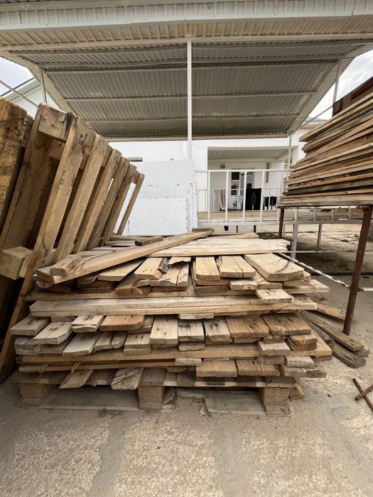 Поддон агашы