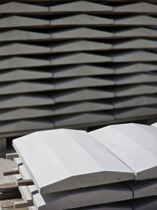 Capace de gard si palarii