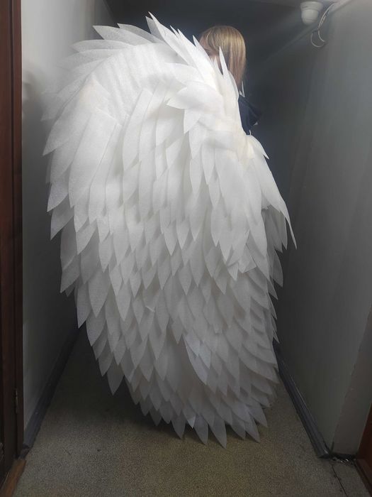 Прокат крылья белые, и черные