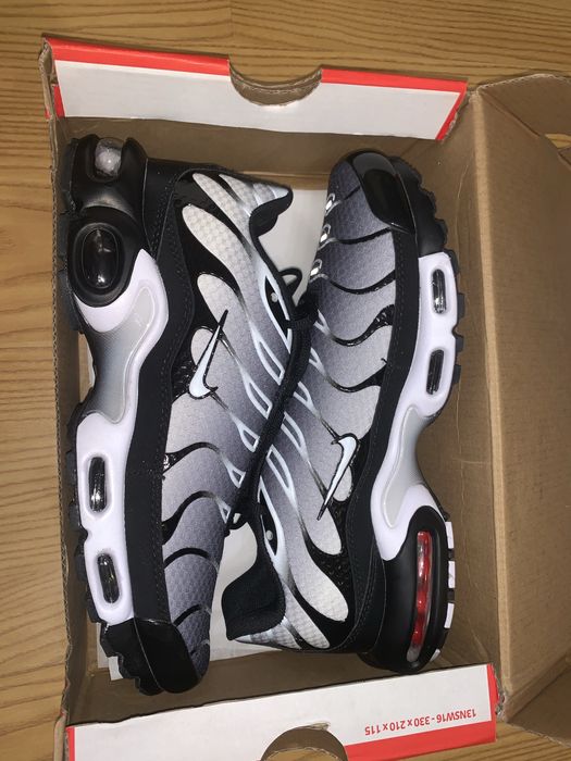 Nike air max plus Tn