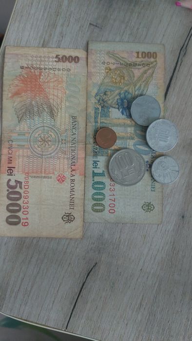 bancnote vechi si monede